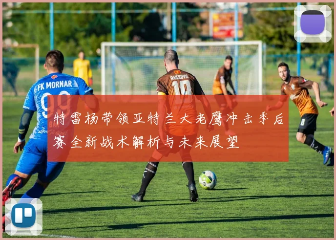 特雷杨带领亚特兰大老鹰冲击季后赛全新战术解析与未来展望