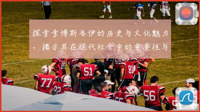 探索索博斯洛伊的历史与文化魅力，揭示其在现代社会中的重要性与影响力