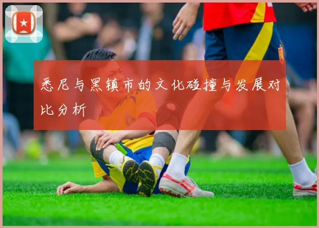 悉尼与黑镇市的文化碰撞与发展对比分析