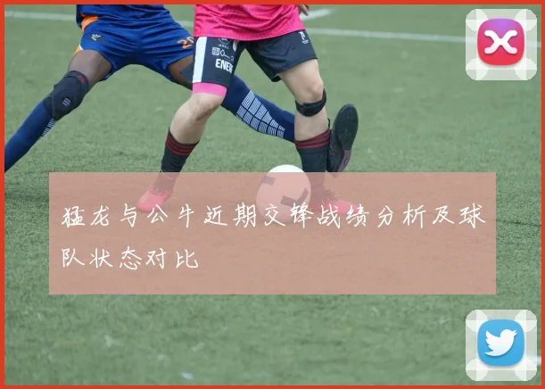 猛龙与公牛近期交锋战绩分析及球队状态对比
