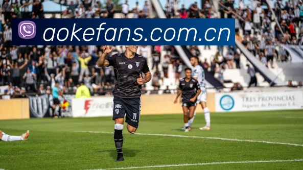 澳客体育平台生态图